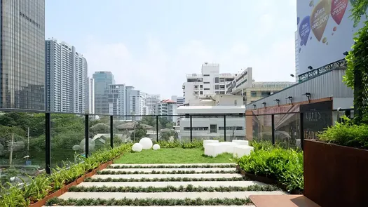 Фото 2 of the Communal Garden Area at The Lofts Asoke
