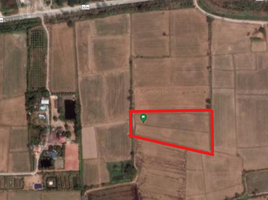  Land for sale in Don Sai, Pak Tho, Don Sai