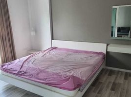 1 Schlafzimmer Wohnung zu vermieten im North 5 Condo Chiangmai, Suthep