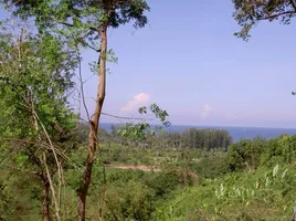  Land for sale in Phuket International Airport, Mai Khao, Sakhu