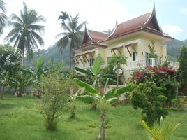 3 Schlafzimmer Villa zu verkaufen in Thalang, Phuket, Sakhu