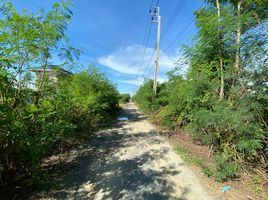 ขายที่ดิน ใน ไทรน้อย นนทบุรี, ไทรน้อย, ไทรน้อย