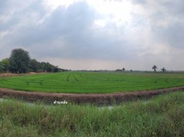  Land for sale in Nara Phirom, Bang Len, Nara Phirom