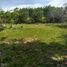  Land for sale in Balbina, Presidente Figueiredo, Balbina