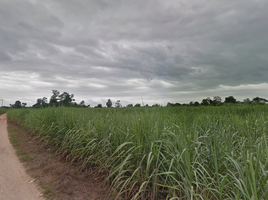  Grundstück zu verkaufen in Mueang Kamphaeng Phet, Kamphaeng Phet, Nai Mueang