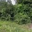  Land for sale in Thailand, Khao Noi, Pran Buri, Prachuap Khiri Khan, Thailand