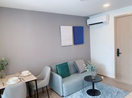 1 Schlafzimmer Wohnung zu vermieten im THE BASE Bukit, Wichit, Phuket Town, Phuket