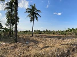  Grundstück zu verkaufen in Tha Yang, Phetchaburi, Khao Krapuk, Tha Yang