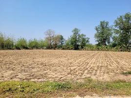  Land for sale in Kamphaeng Phet, Khanu Woralaksaburi, Kamphaeng Phet