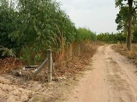  Land for sale in Khon Kaen, Nai Mueang, Wiang Kao, Khon Kaen