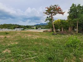  Grundstück zu verkaufen in Koh Samui, Surat Thani, Bo Phut, Koh Samui