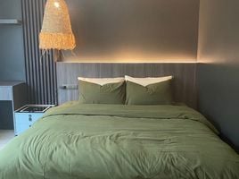 3 Schlafzimmer Ganzes Gebäude zu verkaufen in Phuket Town, Phuket, Rawai