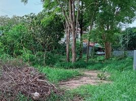 ขายที่ดิน ใน พัทยา ชลบุรี, บางละมุง, พัทยา