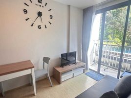 1 Schlafzimmer Appartement zu vermieten im Zcape X2, Choeng Thale, Thalang