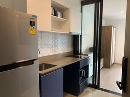 1 Bedroom Condo for rent at THE BASE Central Phuket, Wichit