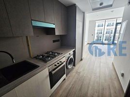 Studio Apartment for sale at Chaimaa Avenue 2, Emirates Gardens 1