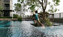 Fotos 3 of the Communal Pool at The Trust Condo at BTS Erawan