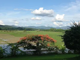 5 Schlafzimmer Haus zu verkaufen in Thoeng, Chiang Rai, Ngao, Thoeng, Chiang Rai