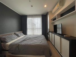 1 Bedroom Condo for rent at U Delight 3 Pracha Chuen-Bang Sue, Wong Sawang, Bang Sue, Bangkok