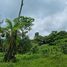  Land for sale in Costa Rica, Guacimo, Limon, Costa Rica