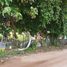  Land for sale in Mueang Nakhon Ratchasima, Nakhon Ratchasima, Ban Pho, Mueang Nakhon Ratchasima