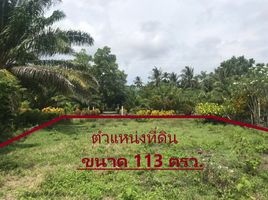 在Thung Wa, 沙敦出售的 土地, Khon Khlan, Thung Wa