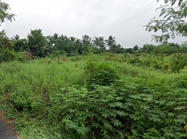  Land for sale in Ban Ko, Mueang Samut Sakhon, Ban Ko