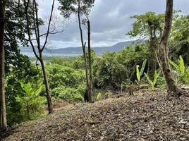  Land for sale in Kathu, Phuket, Patong, Kathu