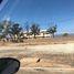 Studio House for sale in Morocco, Oulad Teima, Taroudannt, Souss Massa Draa, Morocco