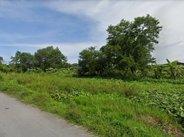  Land for sale in Mueang Nakhon Si Thammarat, Nakhon Si Thammarat, Khlang, Mueang Nakhon Si Thammarat