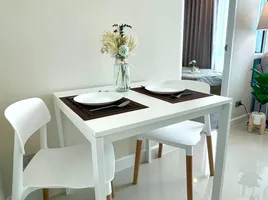 1 Schlafzimmer Wohnung zu vermieten im The Sky Sukhumvit, Bang Na, Bang Na, Bangkok, Thailand