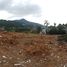  Land for sale in Kamala Beach, Kamala, Kamala