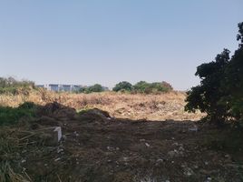  Land for sale in Khlong Kluea, Pak Kret, Khlong Kluea