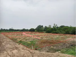  Grundstück zu verkaufen in Mueang Ang Thong, Ang Thong, Champa Lo
