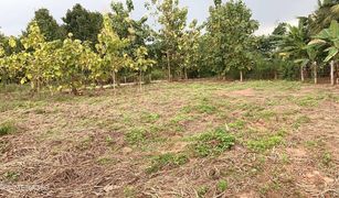 N/A Land for sale in Wang Thong, Phitsanulok 