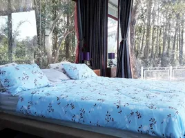 3 спален Вилла for sale in Rop Wiang, Mueang Chiang Rai, Rop Wiang