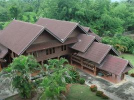  Land for sale in Chiang Mai, Mon Pin, Fang, Chiang Mai