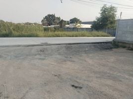  Land for sale in Khu Bang Luang, Lat Lum Kaeo, Khu Bang Luang