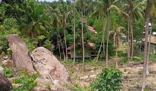 N/A Grundstück zu verkaufen in Ko Pha-Ngan, Koh Samui 