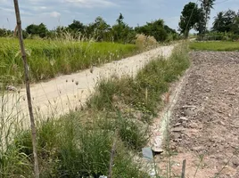 在春武里出售的 土地, Nong Bon Daeng, Ban Bueng, 春武里