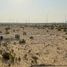  Land for sale at Jebel Ali Hills, Jebel Ali, Dubai