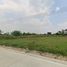  Grundstück zu verkaufen in Nong Suea, Pathum Thani, Bueng Bon, Nong Suea
