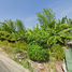  Land for sale in Bang Khen, Bangkok, Tha Raeng, Bang Khen