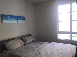 1 Schlafzimmer Appartement zu vermieten im Autumn Condominium, Nong Kae