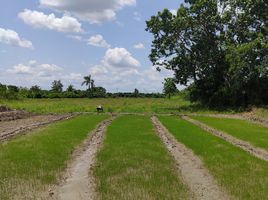  Land for sale in Hang Dong, Chiang Mai, Han Kaeo, Hang Dong