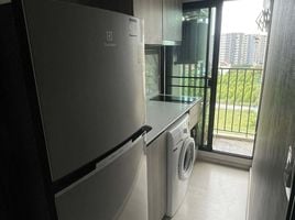 คอนโด 1 ห้องนอน ให้เช่า ในโครงการ ไนท์บริดจ์ พหลโยธิน - อินเตอร์เชนจ์, อนุสาวรีย์, บางเขน, กรุงเทพมหานคร, ไทย