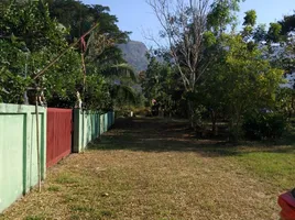  Grundstück zu verkaufen in Nong Phlap, Hua Hin, Nong Phlap, Hua Hin