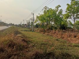  Land for sale in Na Mafueang, Mueang Nong Bua Lam Phu, Na Mafueang