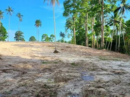  Land for sale in Surat Thani, Maret, Koh Samui, Surat Thani