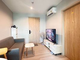 1 Schlafzimmer Wohnung zu vermieten im Nue Noble Srinakarin - Lasalle, Samrong Nuea